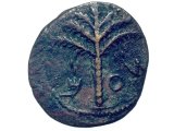 Coin - Shekel of Simeon, of the 2nd Jewish Revolt against Rome